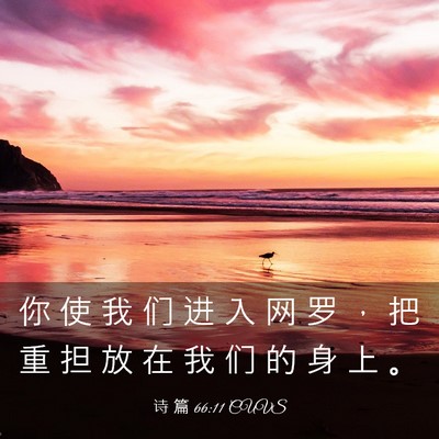 Picture 03 - 诗 篇 66:11 CUVS - 你 使 我 们 进 入 网 罗 ， 把 重 担 - Bible Verse Picture