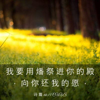 Picture 03 - 诗 篇 66:13 CUVS - 我 要 用 燔 祭 进 你 的 殿 ， 向 你 - Bible Verse Picture