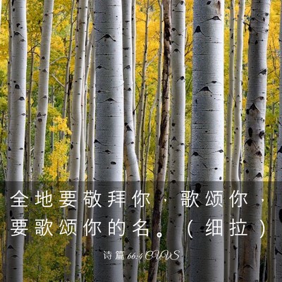 Picture 03 - 诗 篇 66:4 CUVS - 全 地 要 敬 拜 你 ， 歌 颂 你 ， 要 - Bible Verse Picture