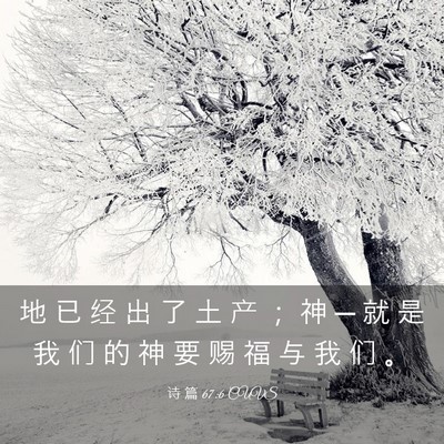Picture 03 - 诗 篇 67:6 CUVS - 地 已 经 出 了 土 产 ； 神 ─ 就 是 - Bible Verse Picture