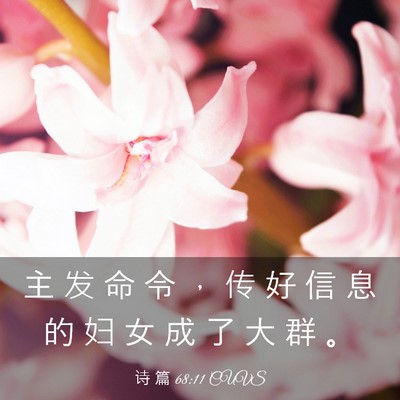 Picture 03 - 诗 篇 68:11 CUVS - 主 发 命 令 ， 传 好 信 息 的 妇 女 - Bible Verse Picture