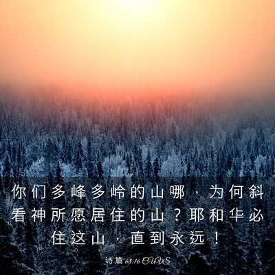 Picture 03 - 诗 篇 68:16 CUVS - 你 们 多 峰 多 岭 的 山 哪 ， 为 何 - Bible Verse Picture