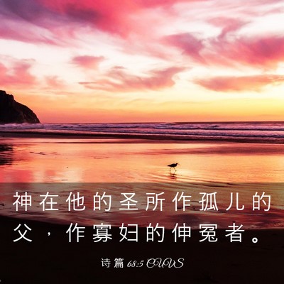 Picture 03 - 诗 篇 68:5 CUVS - 神 在 他 的 圣 所 作 孤 儿 的 父 ， - Bible Verse Picture