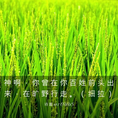 Picture 03 - 诗 篇 68:7 CUVS - 神 啊 ， 你 曾 在 你 百 姓 前 头 出 - Bible Verse Picture