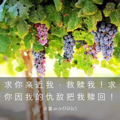 Picture 03 - 诗 篇 69:18 CUVS - 求 你 亲 近 我 ， 救 赎 我 ！ 求 你 - Bible Verse Picture
