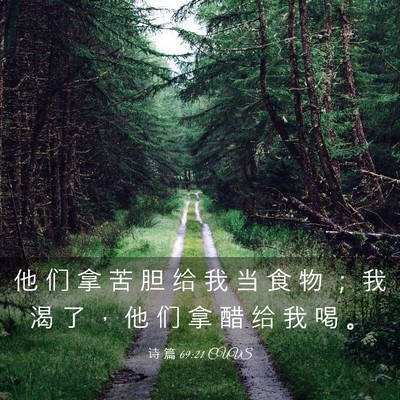 Picture 03 - 诗 篇 69:21 CUVS - 他 们 拿 苦 胆 给 我 当 食 物 ； 我 - Bible Verse Picture