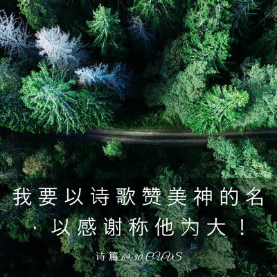 Picture 03 - 诗 篇 69:30 CUVS - 我 要 以 诗 歌 赞 美 神 的 名 ， 以 - Bible Verse Picture