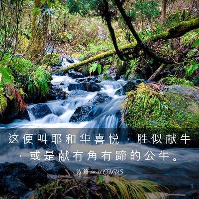 Picture 03 - 诗 篇 69:31 CUVS - 这 便 叫 耶 和 华 喜 悦 ， 胜 似 献 - Bible Verse Picture
