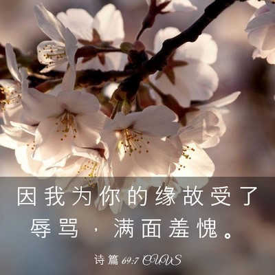 Picture 03 - 诗 篇 69:7 CUVS - 因 我 为 你 的 缘 故 受 了 辱 骂 ， - Bible Verse Picture