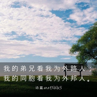Picture 03 - 诗 篇 69:8 CUVS - 我 的 弟 兄 看 我 为 外 路 人 ； 我 - Bible Verse Picture