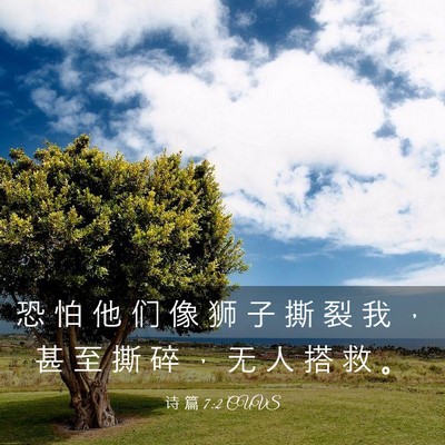 Picture 03 - 诗 篇 7:2 CUVS - 恐 怕 他 们 像 狮 子 撕 裂 我 ， 甚 - Bible Verse Picture