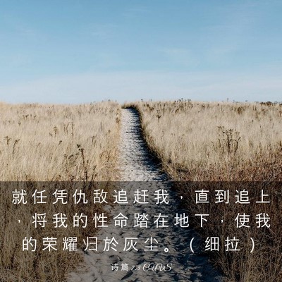 Picture 03 - 诗 篇 7:5 CUVS - 就 任 凭 仇 敌 追 赶 我 ， 直 到 追 - Bible Verse Picture