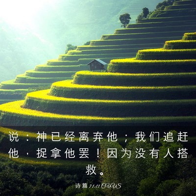 Picture 03 - 诗 篇 71:11 CUVS - 说 ： 神 已 经 离 弃 他 ； 我 们 追 - Bible Verse Picture