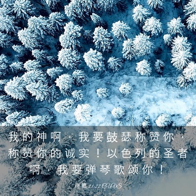 Picture 03 - 诗 篇 71:22 CUVS - 我 的 神 啊 ， 我 要 鼓 瑟 称 赞 你 - Bible Verse Picture