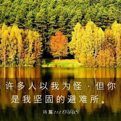 Picture 03 - 诗 篇 71:7 CUVS - 许 多 人 以 我 为 怪 ， 但 你 是 我 - Bible Verse Picture