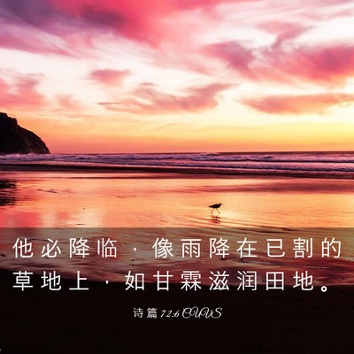 Picture 03 - 诗 篇 72:6 CUVS - 他 必 降 临 ， 像 雨 降 在 已 割 的 - Bible Verse Picture