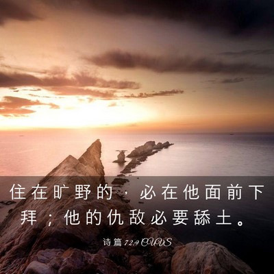 Picture 03 - 诗 篇 72:9 CUVS - 住 在 旷 野 的 ， 必 在 他 面 前 下 - Bible Verse Picture