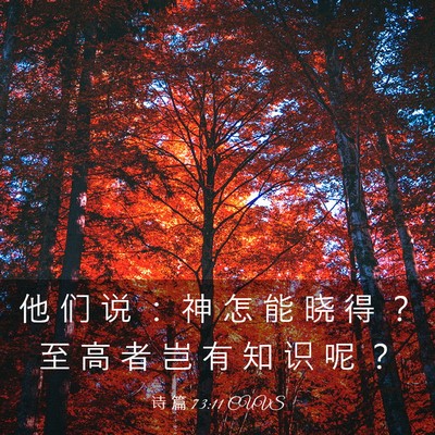 Picture 03 - 诗 篇 73:11 CUVS - 他 们 说 ： 神 怎 能 晓 得 ？ 至 高 - Bible Verse Picture