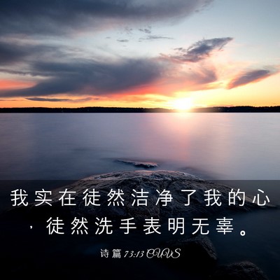 Picture 03 - 诗 篇 73:13 CUVS - 我 实 在 徒 然 洁 净 了 我 的 心 ， - Bible Verse Picture