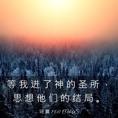 Picture 03 - 诗 篇 73:17 CUVS - 等 我 进 了 神 的 圣 所 ， 思 想 他 - Bible Verse Picture