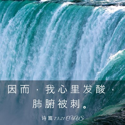 Picture 03 - 诗 篇 73:21 CUVS - 因 而 ， 我 心 里 发 酸 ， 肺 腑 被 - Bible Verse Picture