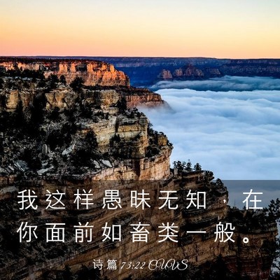Picture 03 - 诗 篇 73:22 CUVS - 我 这 样 愚 昧 无 知 ， 在 你 面 前 - Bible Verse Picture