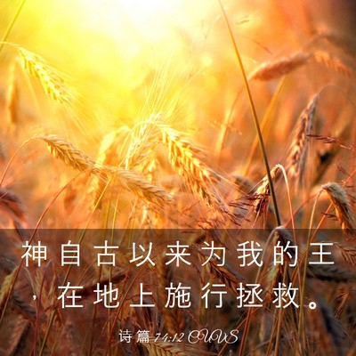 Picture 03 - 诗 篇 74:12 CUVS - 神 自 古 以 来 为 我 的 王 ， 在 地 - Bible Verse Picture