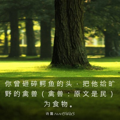 Picture 03 - 诗 篇 74:14 CUVS - 你 曾 砸 碎 鳄 鱼 的 头 ， 把 他 给 - Bible Verse Picture