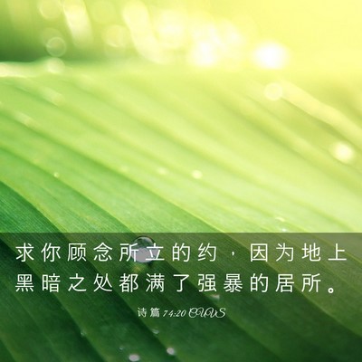 Picture 03 - 诗 篇 74:20 CUVS - 求 你 顾 念 所 立 的 约 ， 因 为 地 - Bible Verse Picture