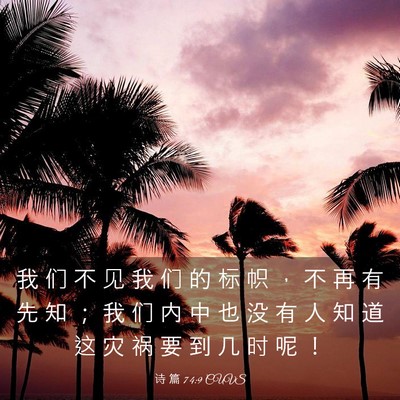Picture 03 - 诗 篇 74:9 CUVS - 我 们 不 见 我 们 的 标 帜 ， 不 再 - Bible Verse Picture