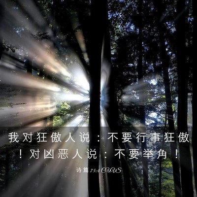 Picture 03 - 诗 篇 75:4 CUVS - 我 对 狂 傲 人 说 ： 不 要 行 事 狂 - Bible Verse Picture