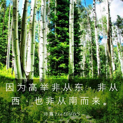 Picture 03 - 诗 篇 75:6 CUVS - 因 为 高 举 非 从 东 ， 非 从 西 ， - Bible Verse Picture