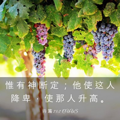Picture 03 - 诗 篇 75:7 CUVS - 惟 有 神 断 定 ； 他 使 这 人 降 卑 - Bible Verse Picture