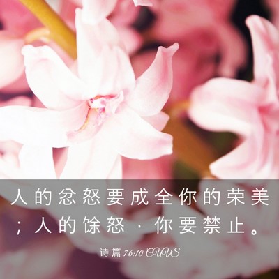 Picture 03 - 诗 篇 76:10 CUVS - 人 的 忿 怒 要 成 全 你 的 荣 美 ； - Bible Verse Picture