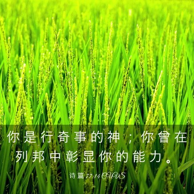 Picture 03 - 诗 篇 77:14 CUVS - 你 是 行 奇 事 的 神 ； 你 曾 在 列 - Bible Verse Picture