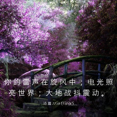 Picture 03 - 诗 篇 77:18 CUVS - 你 的 雷 声 在 旋 风 中 ； 电 光 照 - Bible Verse Picture