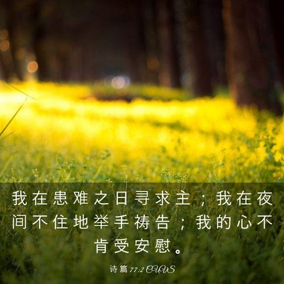 Picture 03 - 诗 篇 77:2 CUVS - 我 在 患 难 之 日 寻 求 主 ； 我 在 - Bible Verse Picture