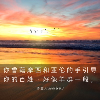 Picture 03 - 诗 篇 77:20 CUVS - 你 曾 藉 摩 西 和 亚 伦 的 手 引 导 - Bible Verse Picture