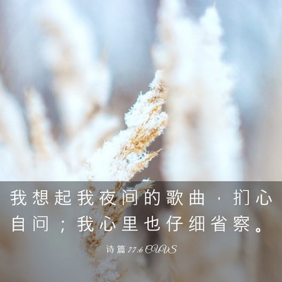 Picture 03 - 诗 篇 77:6 CUVS - 我 想 起 我 夜 间 的 歌 曲 ， 扪 心 - Bible Verse Picture