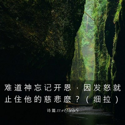 Picture 03 - 诗 篇 77:9 CUVS - 难 道 神 忘 记 开 恩 ， 因 发 怒 就 - Bible Verse Picture