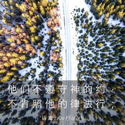 Picture 03 - 诗 篇 78:10 CUVS - 他 们 不 遵 守 神 的 约 ， 不 肯 照 - Bible Verse Picture