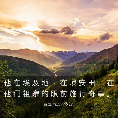 Picture 03 - 诗 篇 78:12 CUVS - 他 在 埃 及 地 ， 在 琐 安 田 ， 在 - Bible Verse Picture