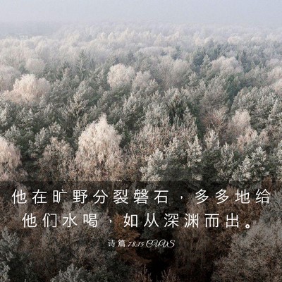 Picture 03 - 诗 篇 78:15 CUVS - 他 在 旷 野 分 裂 磐 石 ， 多 多 地 - Bible Verse Picture