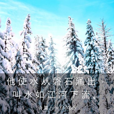 Picture 03 - 诗 篇 78:16 CUVS - 他 使 水 从 磐 石 涌 出 ， 叫 水 如 - Bible Verse Picture