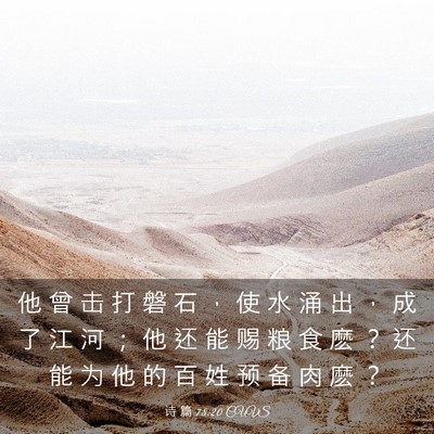Picture 03 - 诗 篇 78:20 CUVS - 他 曾 击 打 磐 石 ， 使 水 涌 出 ， - Bible Verse Picture