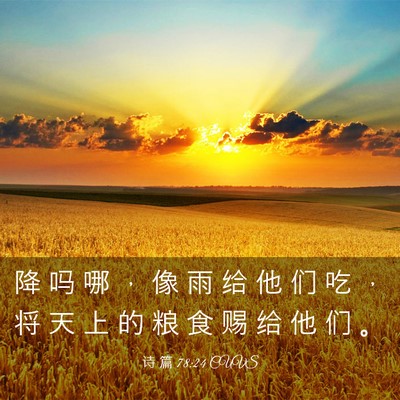 Picture 03 - 诗 篇 78:24 CUVS - 降 吗 哪 ， 像 雨 给 他 们 吃 ， 将 - Bible Verse Picture