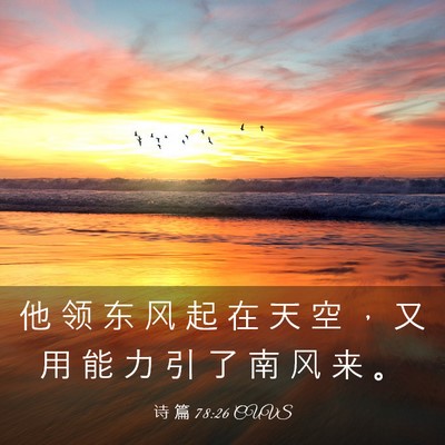 Picture 03 - 诗 篇 78:26 CUVS - 他 领 东 风 起 在 天 空 ， 又 用 能 - Bible Verse Picture