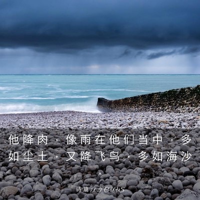 Picture 03 - 诗 篇 78:27 CUVS - 他 降 肉 ， 像 雨 在 他 们 当 中 ， - Bible Verse Picture