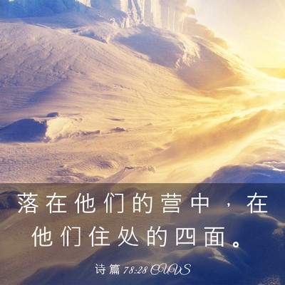 Picture 03 - 诗 篇 78:28 CUVS - 落 在 他 们 的 营 中 ， 在 他 们 住 - Bible Verse Picture