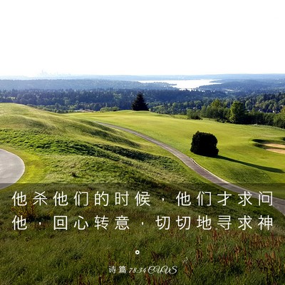 Picture 03 - 诗 篇 78:34 CUVS - 他 杀 他 们 的 时 候 ， 他 们 才 求 - Bible Verse Picture